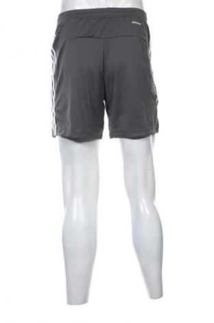 Herren Shorts Adidas, Größe S, Farbe Mehrfarbig, Preis € 53,99