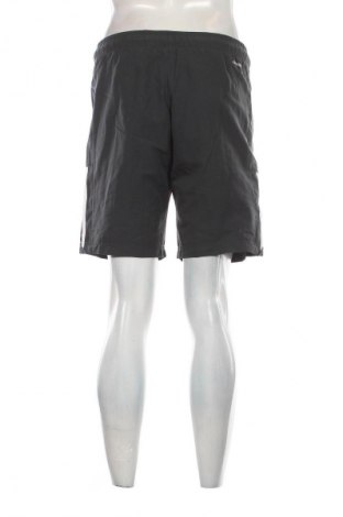 Herren Shorts Adidas, Größe S, Farbe Grau, Preis 21,99 €