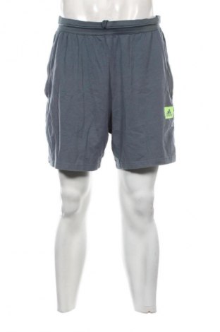 Herren Shorts Adidas, Größe L, Farbe Mehrfarbig, Preis 23,99 €