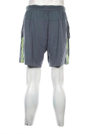 Herren Shorts Adidas, Größe L, Farbe Mehrfarbig, Preis 23,99 €