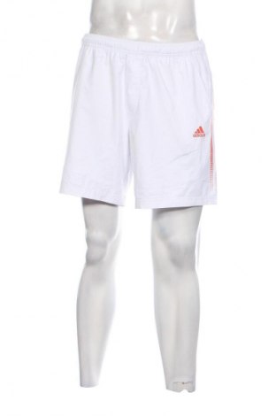 Herren Shorts Adidas, Größe L, Farbe Weiß, Preis € 23,99