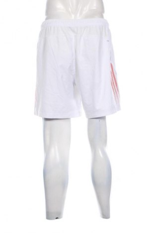 Herren Shorts Adidas, Größe L, Farbe Weiß, Preis € 23,99