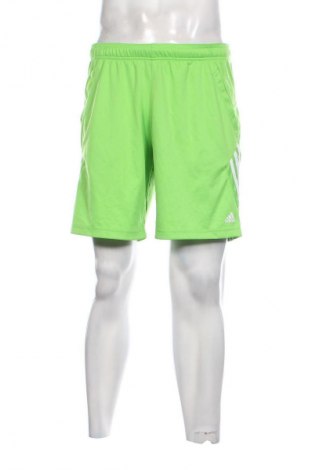 Herren Shorts Adidas, Größe M, Farbe Grün, Preis 21,99 €