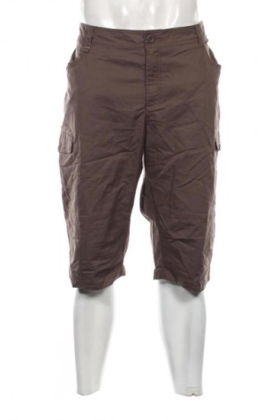 Herren Shorts Decathlon, Größe XL, Farbe Braun, Preis € 13,99