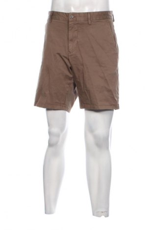 Herren Shorts Gant, Größe XL, Farbe Grün, Preis 43,99 €