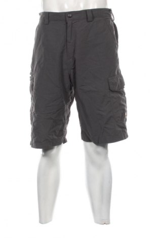 Herren Shorts Hickory, Größe L, Farbe Grau, Preis 21,00 €