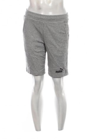 Herren Shorts PUMA, Größe S, Farbe Grau, Preis 25,99 €
