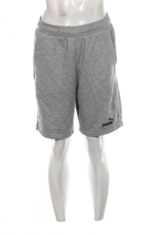 Herren Shorts PUMA, Größe L, Farbe Grau, Preis 22,99 €
