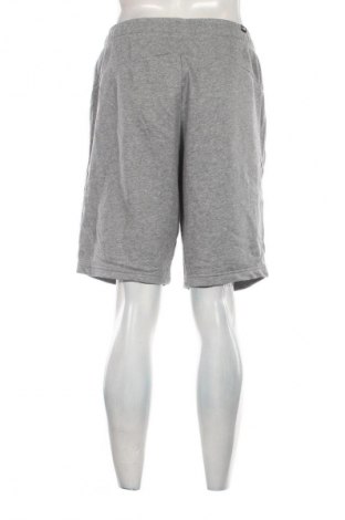 Herren Shorts PUMA, Größe L, Farbe Grau, Preis 22,99 €