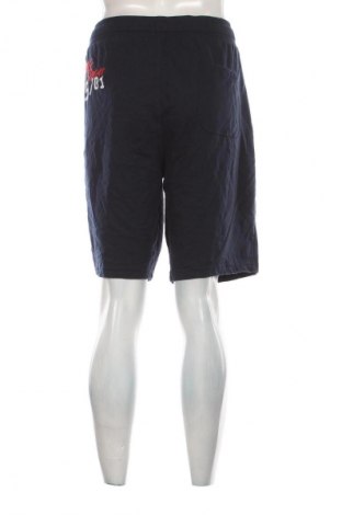 Herren Shorts Unbranded, Größe XXL, Farbe Mehrfarbig, Preis € 13,99