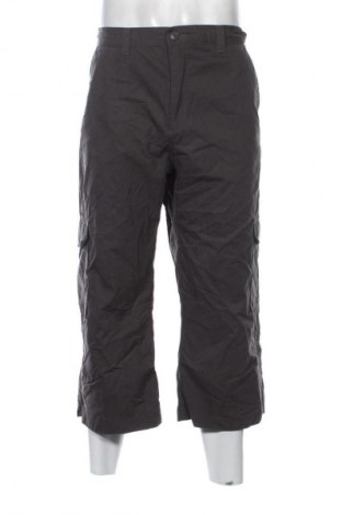 Herren Shorts Watson's, Größe XL, Farbe Grau, Preis 34,99 €
