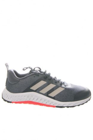 Pánske topánky Adidas, Veľkosť 43, Farba Modrá, Cena  119,95 €
