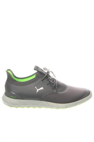 Herrenschuhe PUMA, Größe 42, Farbe Mehrfarbig, Preis 120,00 €