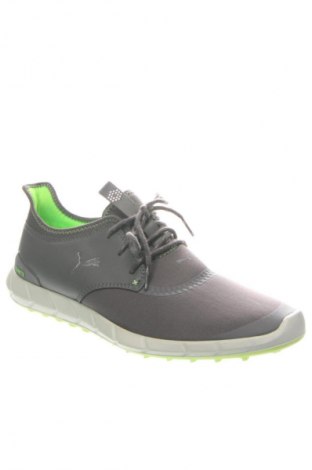 Herrenschuhe PUMA, Größe 42, Farbe Mehrfarbig, Preis 120,00 €