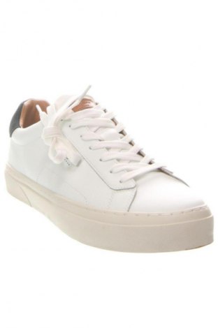 Pánske topánky Pepe Jeans, Veľkosť 43, Farba Biela, Cena  93,95 €