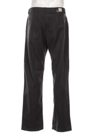 Herrenhose Brax, Größe L, Farbe Mehrfarbig, Preis 46,99 €