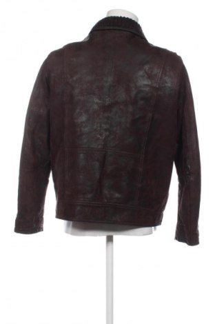 Herren Lederjacke Canda, Größe L, Farbe Braun, Preis 73,99 €