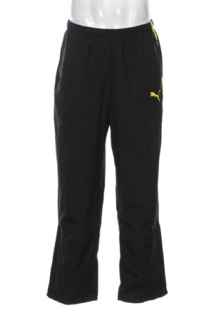 Herren Sporthose PUMA, Größe L, Farbe Schwarz, Preis € 33,99