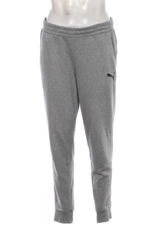 Herren Sporthose PUMA, Größe XL, Farbe Grau, Preis 33,99 €