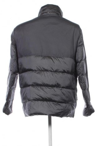 Herrenjacke Lands' End, Größe L, Farbe Grau, Preis 37,99 €