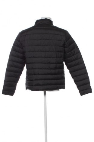 Herrenjacke Tex, Größe L, Farbe Schwarz, Preis 33,99 €