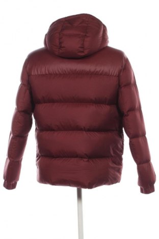 Ανδρικό μπουφάν Tommy Hilfiger, Μέγεθος L, Χρώμα Κόκκινο, Τιμή 249,99 €