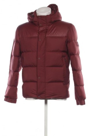 Herrenjacke Tommy Hilfiger, Größe S, Farbe Rot, Preis € 259,99
