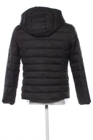Herrenjacke Tommy Jeans, Größe XL, Farbe Schwarz, Preis 249,99 €