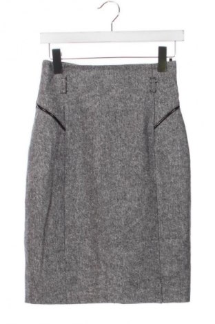 Fustă Fervente, Mărime XS, Culoare Gri, Preț 61,00 Lei
