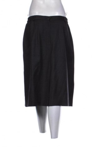 Φούστα Unbranded, Μέγεθος XL, Χρώμα Μαύρο, Τιμή 12,00 €