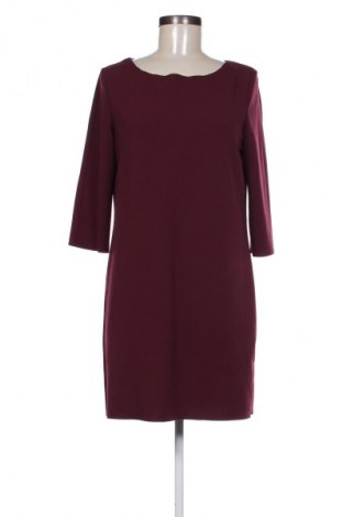 Kleid Amisu, Größe M, Farbe Lila, Preis 18,53 €