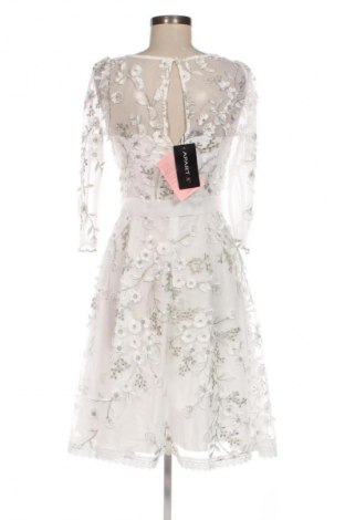 Kleid Apart, Größe S, Farbe Weiß, Preis 152,99 €