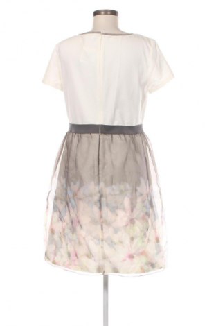 Kleid Betty Barclay, Größe XL, Farbe Mehrfarbig, Preis € 54,99