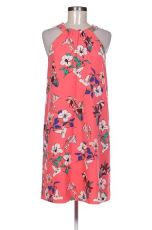 Kleid Hallhuber, Größe S, Farbe Mehrfarbig, Preis 41,98 €
