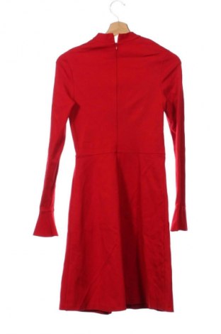 Φόρεμα Hallhuber, Μέγεθος XS, Χρώμα Κόκκινο, Τιμή 52,99 €