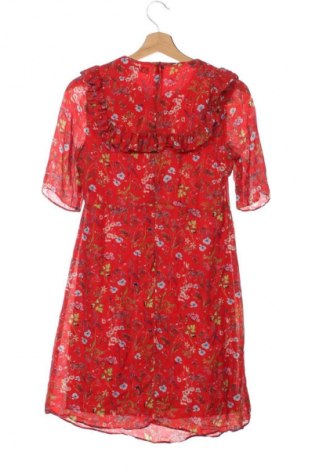 Kleid Hallhuber, Größe XS, Farbe Mehrfarbig, Preis € 46,99