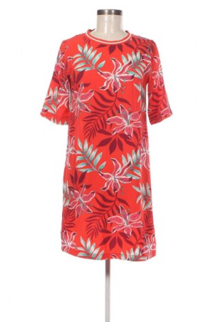 Kleid Hema, Größe S, Farbe Mehrfarbig, Preis € 14,99