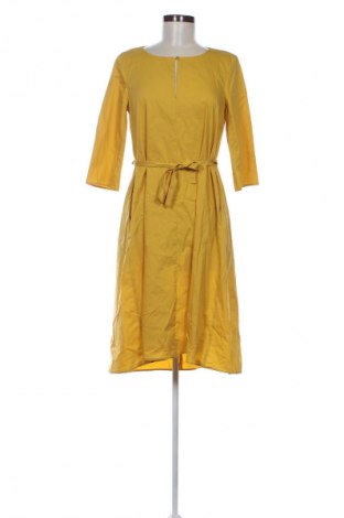 Kleid Luisa Cerano, Größe S, Farbe Orange, Preis 60,99 €