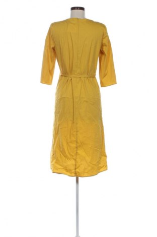 Kleid Luisa Cerano, Größe S, Farbe Orange, Preis 60,99 €