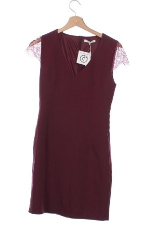 Sukienka Mint & Berry, Rozmiar XS, Kolor Czerwony, Cena 84,99 zł