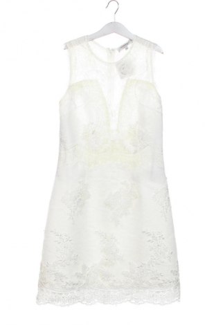 Kleid Morgan, Größe S, Farbe Weiß, Preis € 35,99