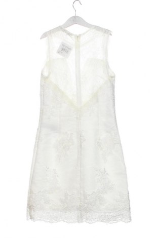 Kleid Morgan, Größe S, Farbe Weiß, Preis € 35,99