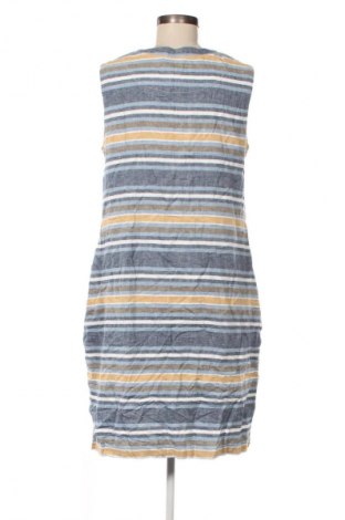 Kleid Paul Costelloe, Größe XL, Farbe Mehrfarbig, Preis € 51,99
