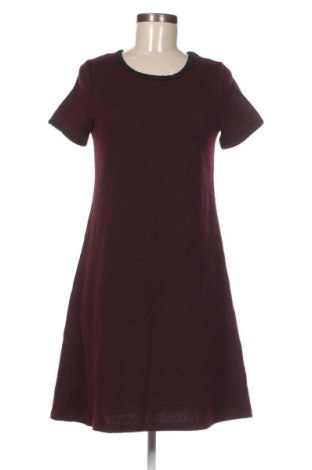 Φόρεμα Pimkie, Μέγεθος L, Χρώμα Πολύχρωμο, Τιμή 18,99 €