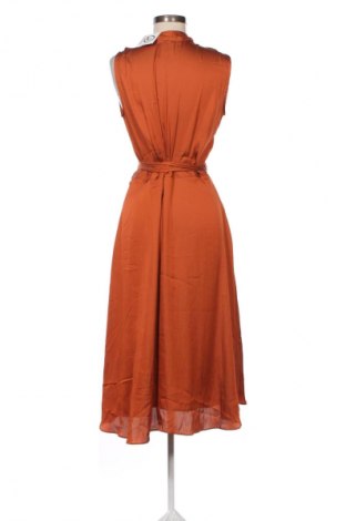 Kleid Scotch & Soda, Größe M, Farbe Braun, Preis € 78,99