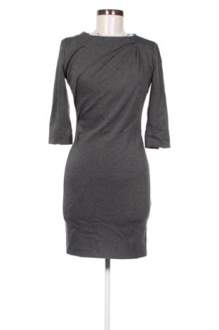 Kleid Tiger Of Sweden, Größe S, Farbe Grau, Preis € 66,53