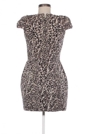 Kleid Warehouse, Größe M, Farbe Mehrfarbig, Preis € 24,55