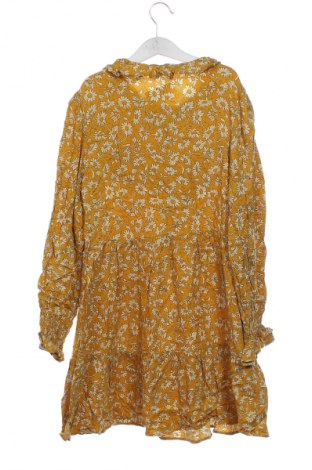 Kleid Zara, Größe XS, Farbe Mehrfarbig, Preis 18,99 €