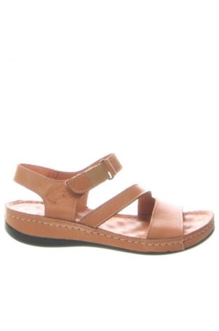 Sandalen Dasha, Größe 36, Farbe Braun, Preis 29,99 €