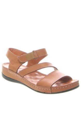 Sandalen Dasha, Größe 36, Farbe Braun, Preis 29,99 €
